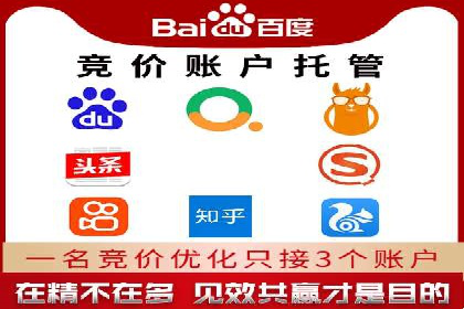 百度推广在电商行业的应用案例分析